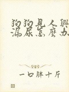 狗狗见人兴奋就漏尿怎么办