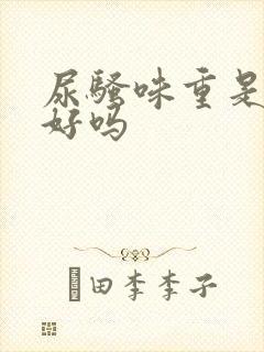 尿骚味重是肾不好吗