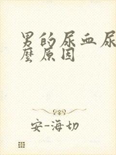 男的尿血尿是什么原因