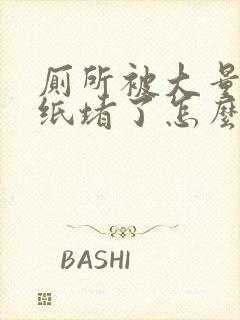 厕所被大量卫生纸堵了怎么办