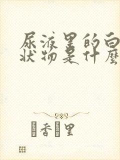 尿液里的白色絮状物是什么