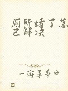 厕所堵了怎么自己解决