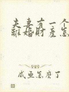 夫妻有一个孩子离婚财产怎么分