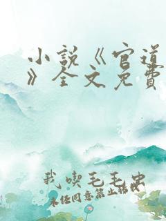 小说《官道红颜》全文免费阅读