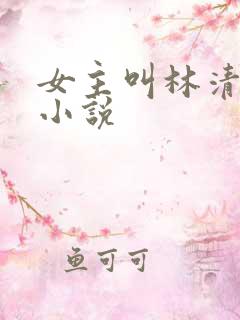 女主叫林清瑶的小说