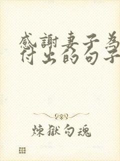 感谢妻子为家庭付出的句子