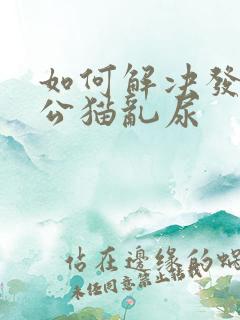 如何解决发情期公猫乱尿