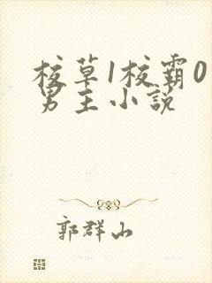 校草1校霸0双男主小说