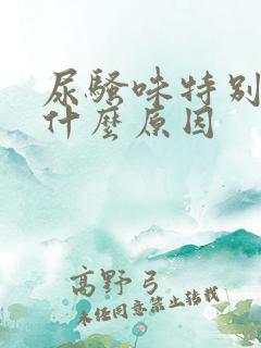 尿骚味特别大是什么原因