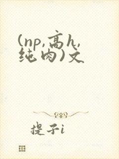 (np,高h,纯肉)文