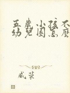 五岁小孩不去上幼儿园怎么办