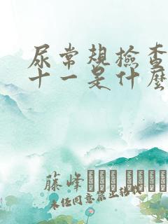 尿常规检查隐血十一是什么意思