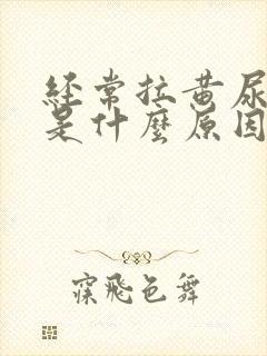 经常拉黄尿又臭是什么原因