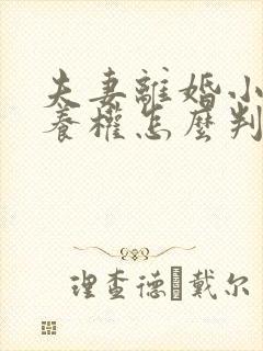 夫妻离婚小孩抚养权怎么判抚养费怎么出