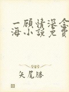 一顾情深念念似海小说免费阅读