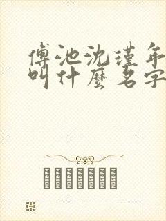 傅池沈瑾年小说叫什么名字