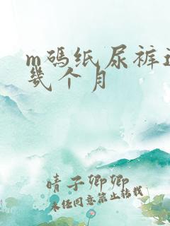 m码纸尿裤适合几个月