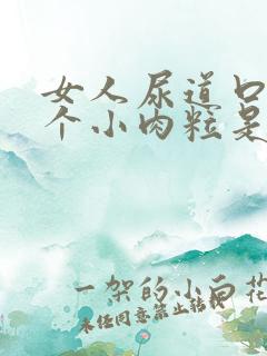 女人尿道口上长个小肉粒是怎么回事