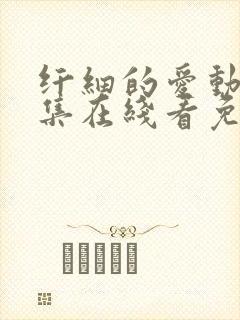 纤细的爱动漫全集在线看免费观看