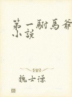 第一驸马爷顾道小说
