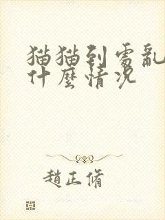 猫猫到处乱尿是什么情况