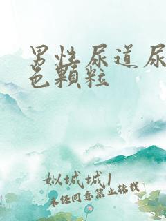 男性尿道尿出白色颗粒