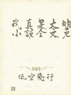 我真是大明星 小说全文免费阅读