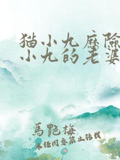 猫小九历险记猫小九的老婆