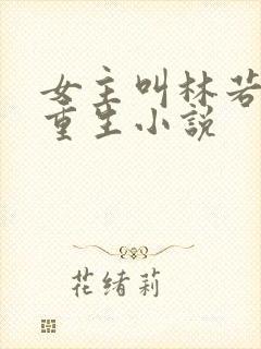 女主叫林若初的重生小说
