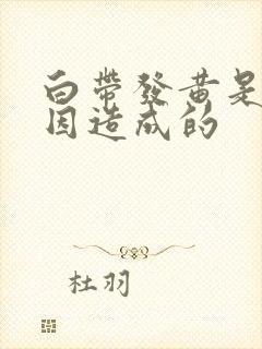 白带发黄是什原因造成的