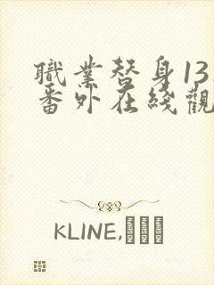 职业替身13集番外在线观看