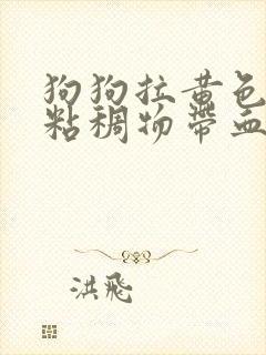 狗狗拉黄色果冻粘稠物带血