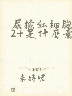 尿检红细胞隐血2+是什么意思