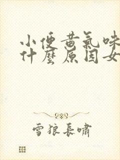 小便黄气味重是什么原因女