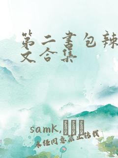 第二书包辣网辣文合集