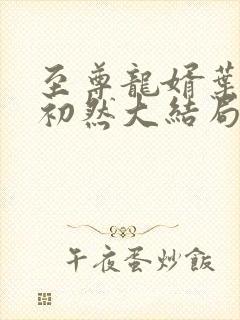 至尊龙婿叶辰萧初然大结局