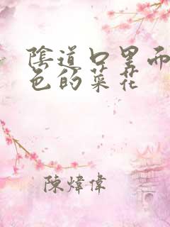 阴道口里面有白色的菜花