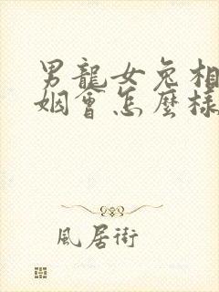 男龙女兔相配婚姻会怎么样