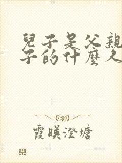 儿子是父亲上辈子的什么人