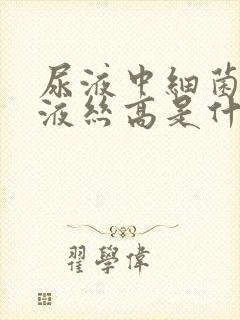 尿液中细菌和粘液丝高是什么原因