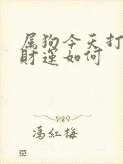 属狗今天打牌的财运如何