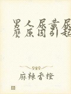 男人尿黄尿是什么原因引起的