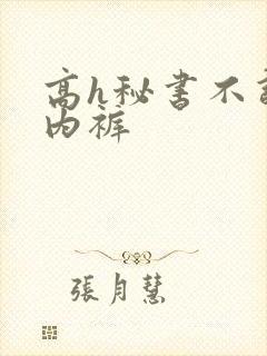 高h秘书不许穿内裤