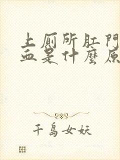 上厕所肛门疼出血是什么原因