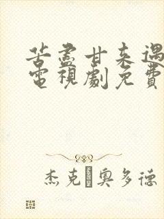 苦尽甘来遇见你电视剧免费观看全集在线播放