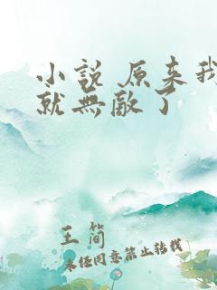 小说 原来我早就无敌了