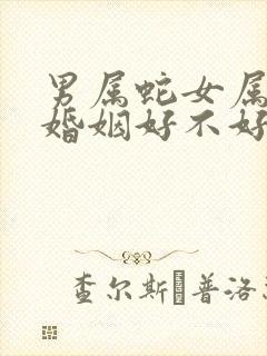 男属蛇女属羊的婚姻好不好