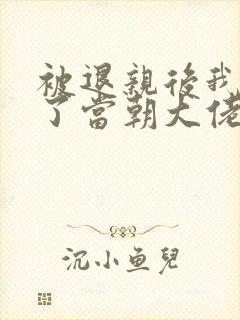 被退亲后我嫁给了当朝大佬 小说
