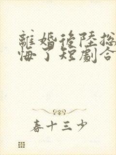 离婚后陆总他后悔了短剧合集