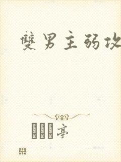 双男主弱攻强受